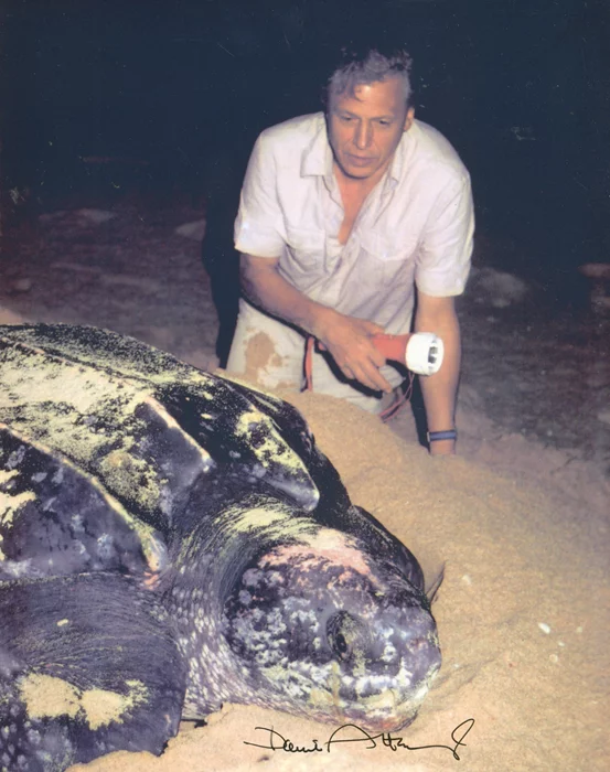 David Attenborough autograph