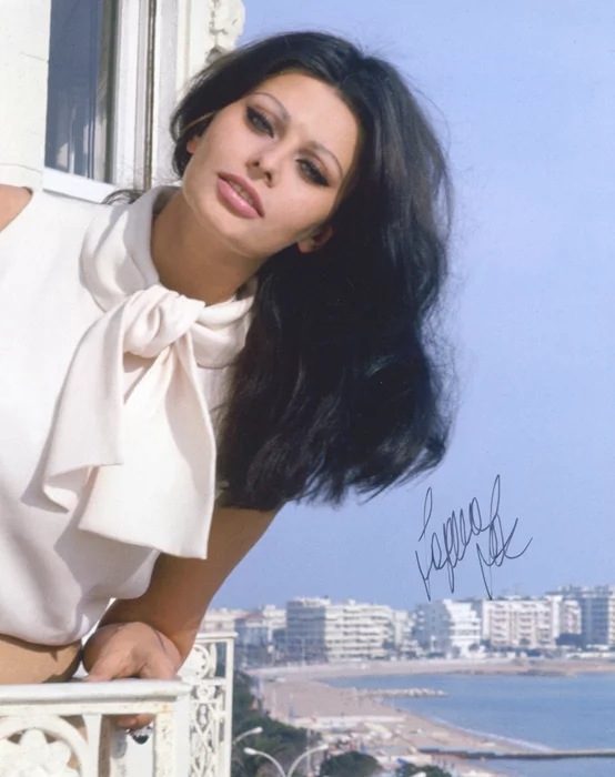 Sophia Loren autograph