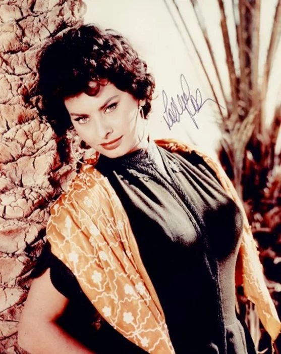 Sophia Loren autograph