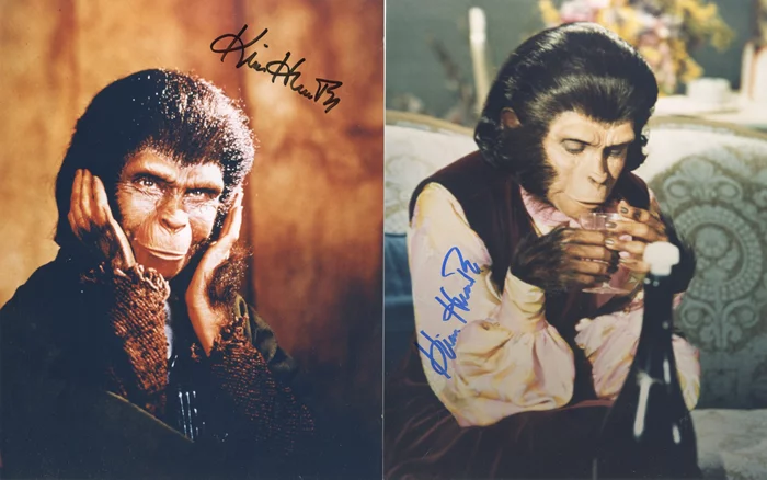 Kim Hunter autograph