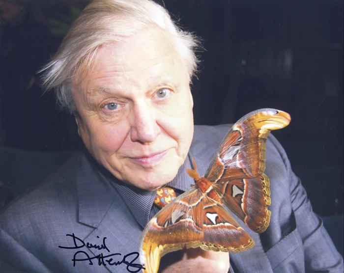David Attenborough autograph