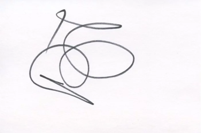 Brandon T. Jackson autograph