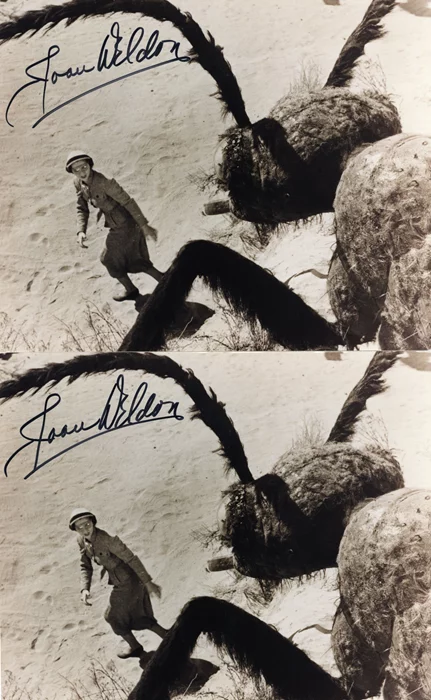 Joan Weldon autograph