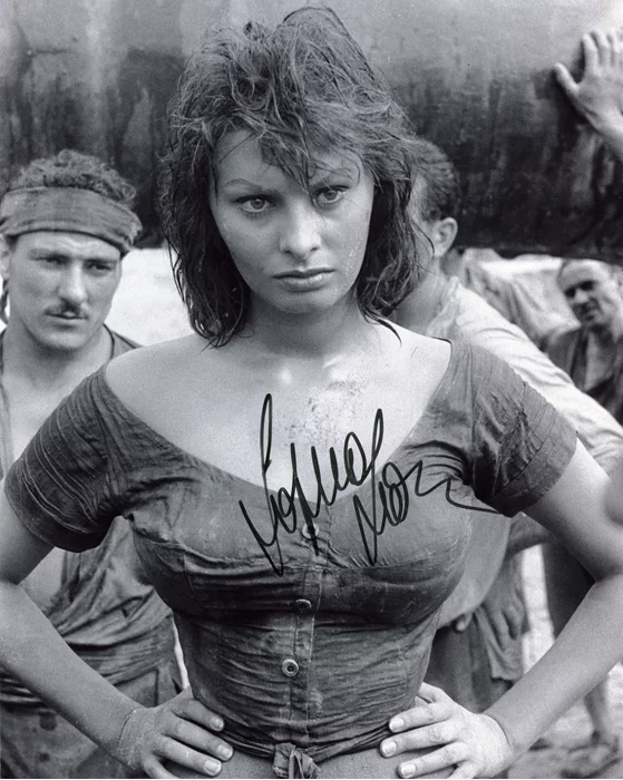 Sophia Loren autograph