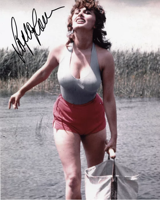 Sophia Loren autograph