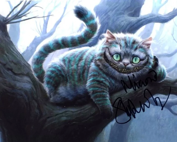 Stephen Fry autograph