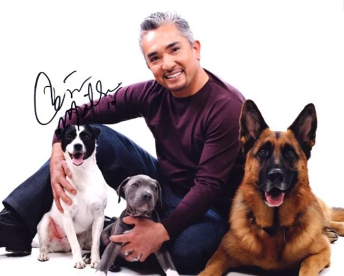 Cesar Millan autograph