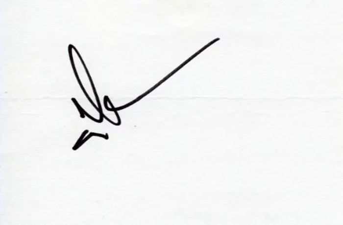 Mark McGrath autograph