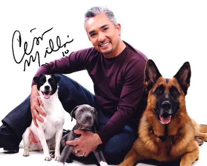 Cesar Millan autograph