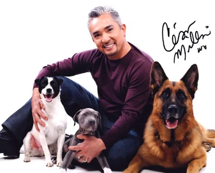 Cesar Millan autograph