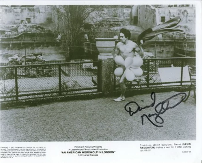 David Naughton autograph