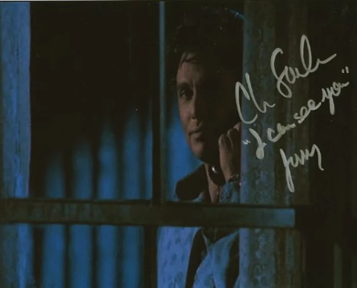 Chris Sarandon autograph