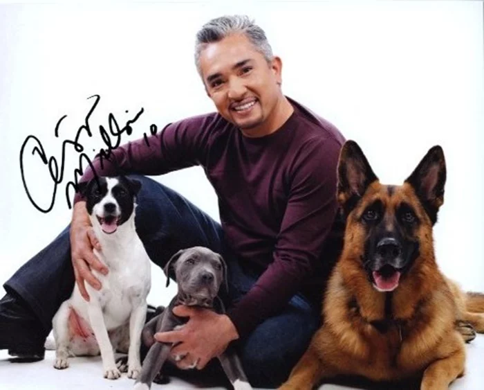 Cesar Millan autograph