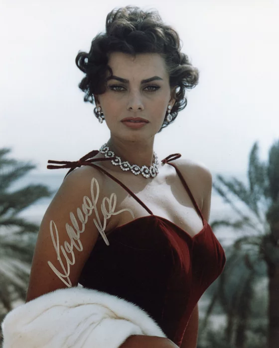 Sophia Loren autograph