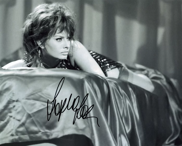 Sophia Loren autograph