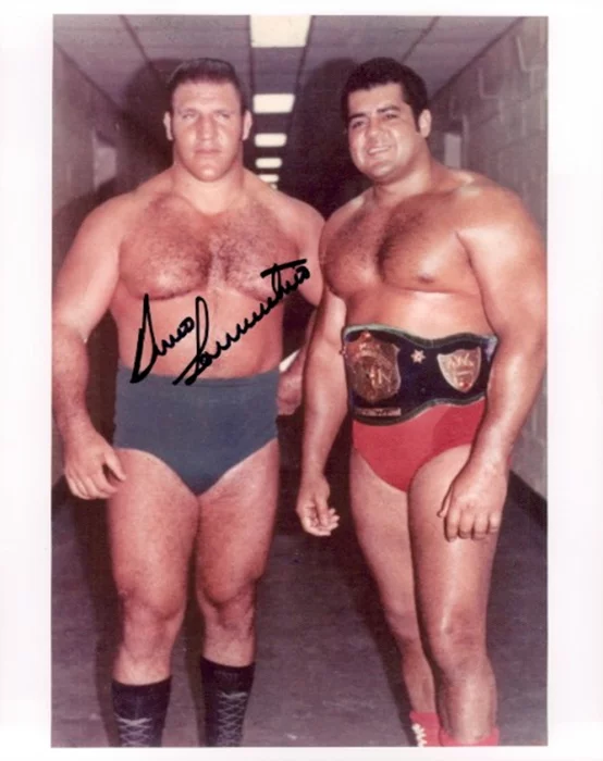 Bruno Sammartino autograph