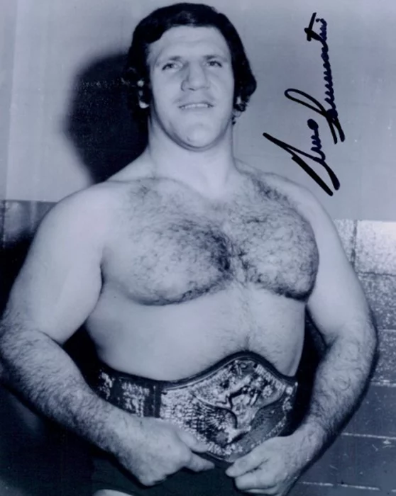 Bruno Sammartino autograph