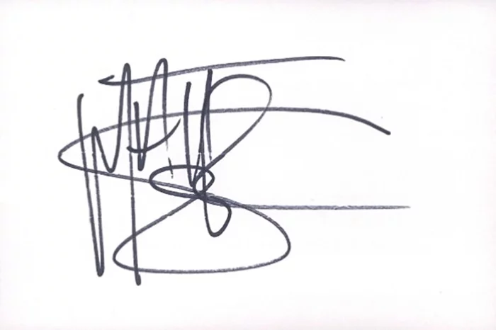 Matt Sorum autograph