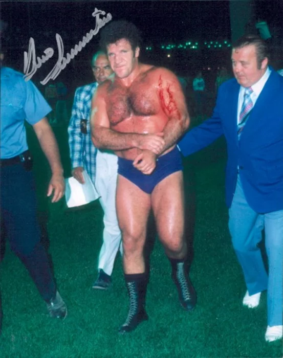 Bruno Sammartino autograph