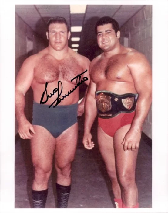 Bruno Sammartino autograph