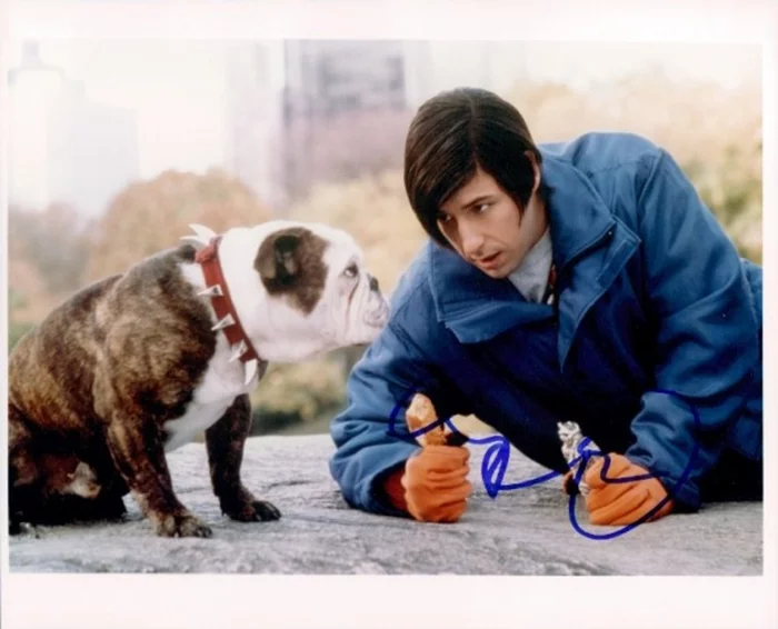 Adam Sandler autograph