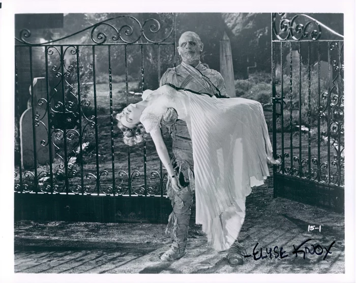 Elyse Knox autograph