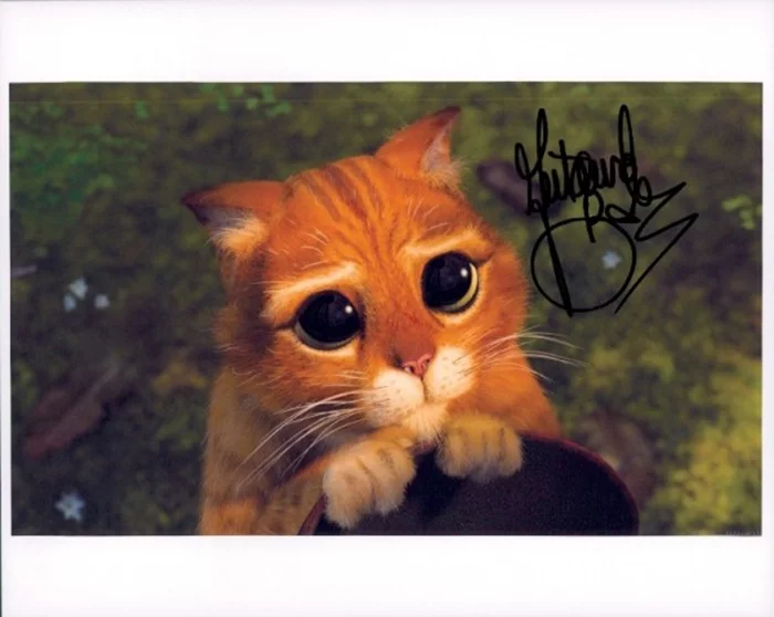 Antonio Banderas autograph