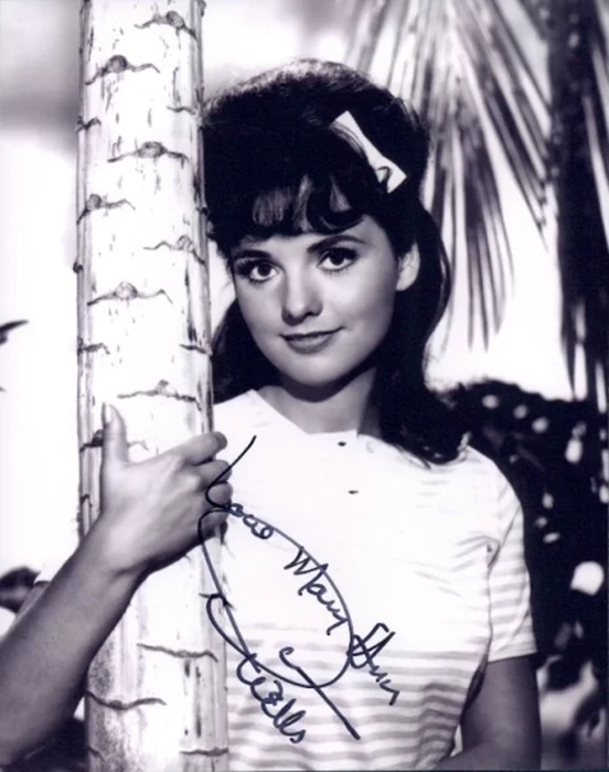 Dawn Wells autograph