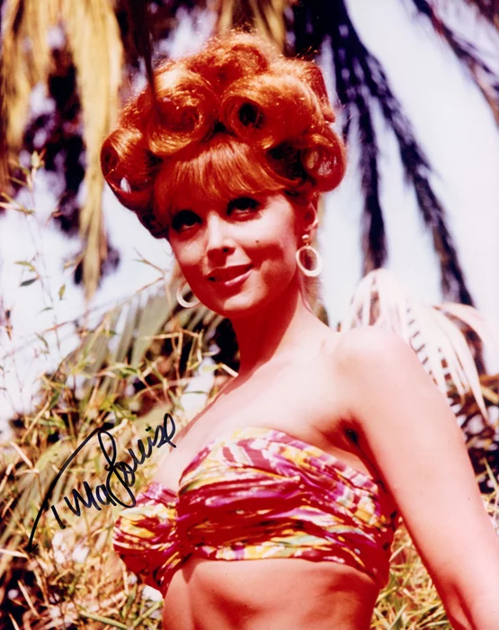 Tina Louise autograph