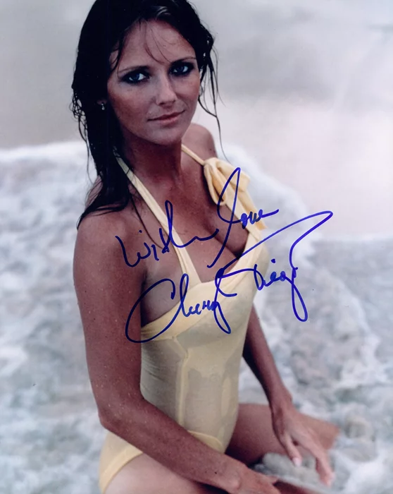 Cheryl Tiegs autograph