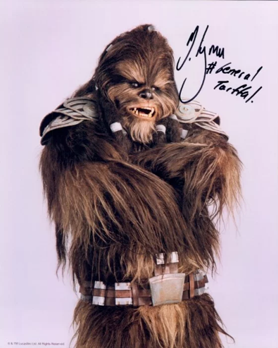 Michael Kingma autograph