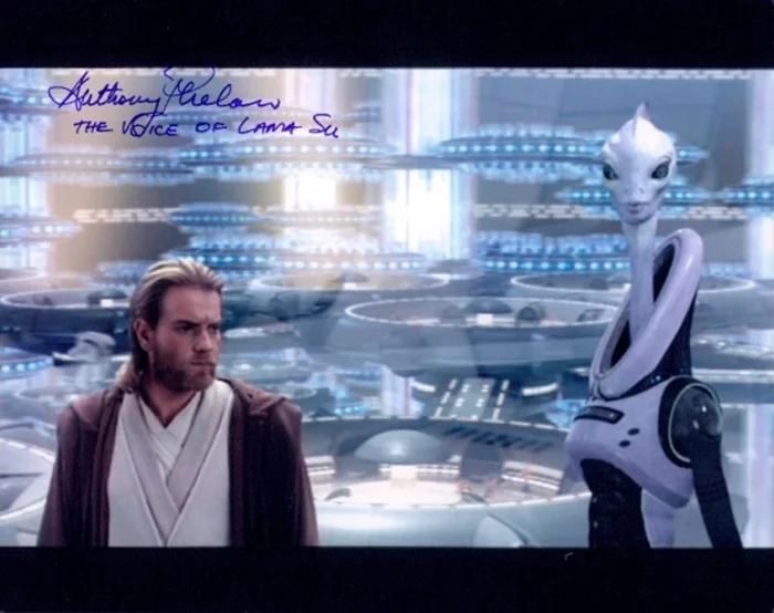Anthony Phelan autograph