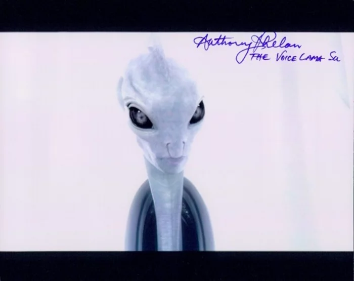 Anthony Phelan autograph