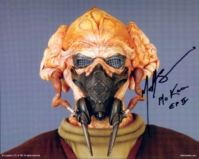 Matt Sloan autograph