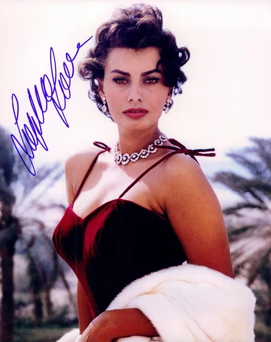 Sophia Loren autograph