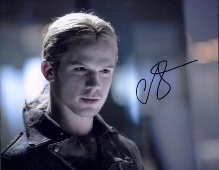 Cam Gigandet autograph