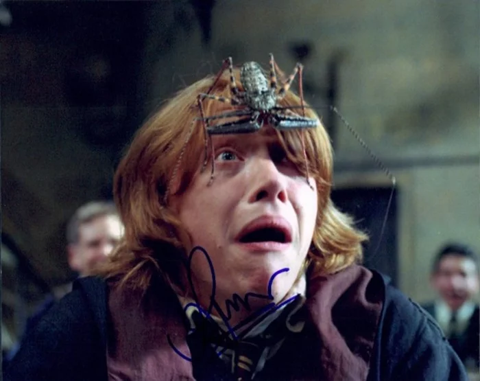 Rupert Grint autograph