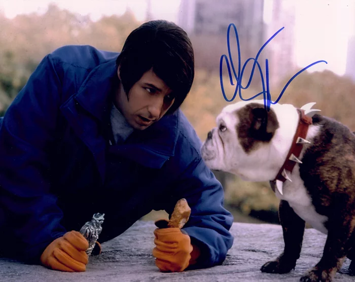 Adam Sandler autograph