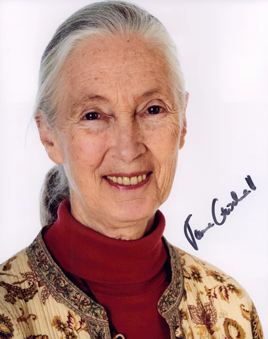 Jane Goodall autograph