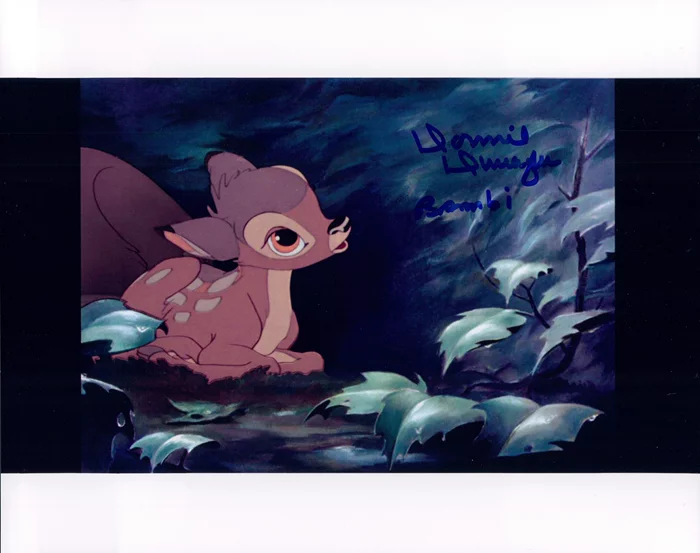 Donnie Dunagan autograph