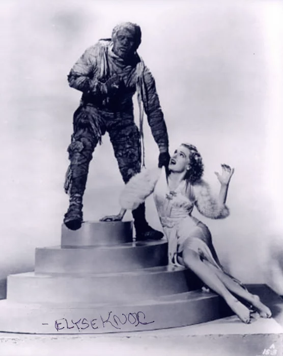Elyse Knox autograph