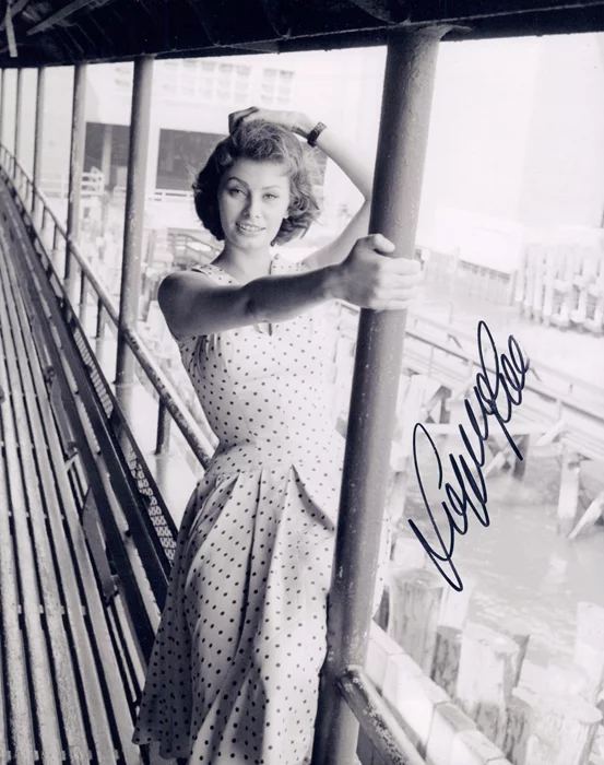 Sophia Loren autograph