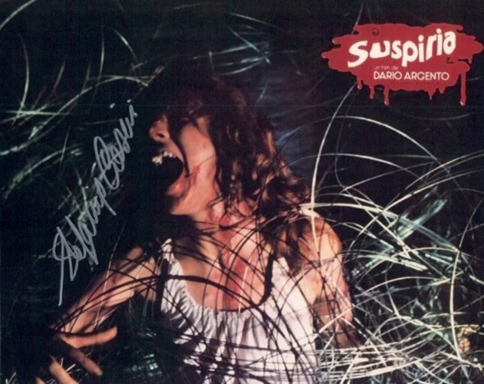 Stefania Casini autograph