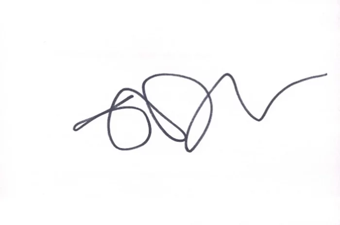 Joel Moore autograph