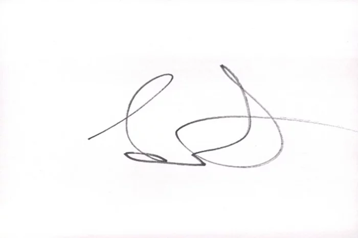 Lee DeWyze autograph