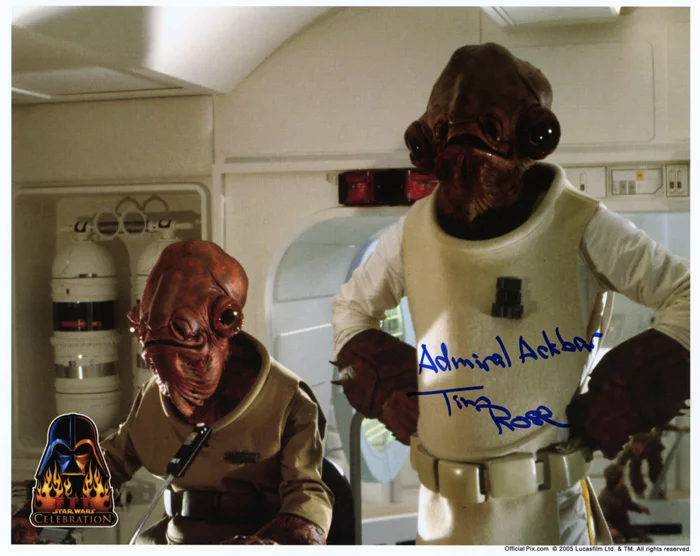 Tim Rose autograph