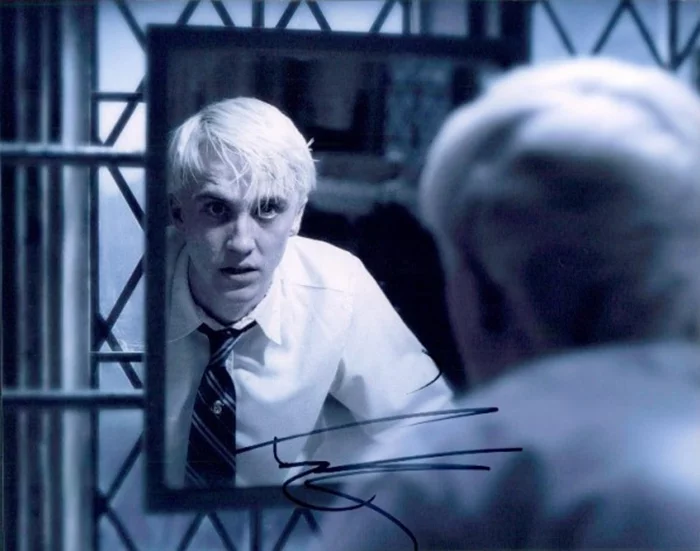 Tom Felton autograph