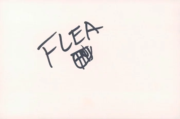 Flea autograph
