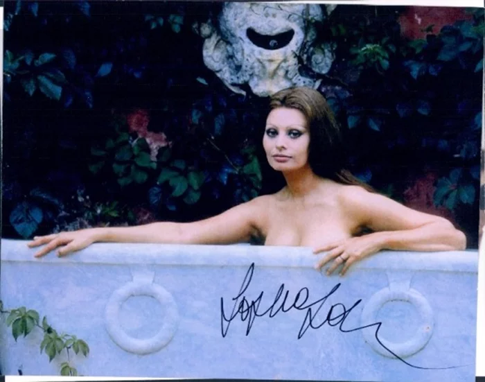 Sophia Loren autograph