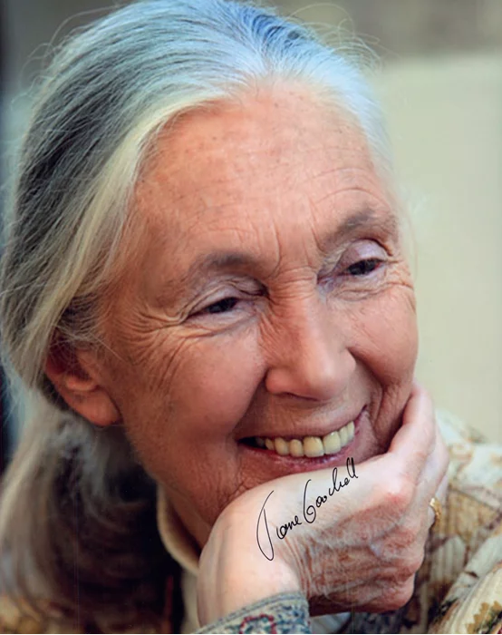 Jane Goodall autograph